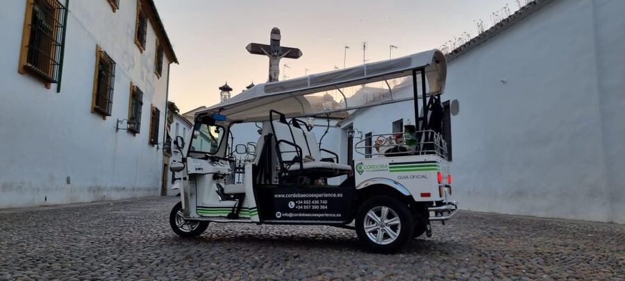 Córdoba: Guided City Tour by Tuk-Tuk - Alcázar and the Mosque-Cathedral
