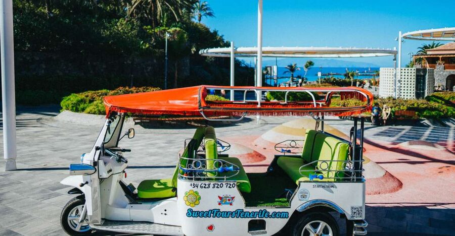Costa Adeje: Double Tuk Tuk Tour - The high viewpoints above Costa Adeje