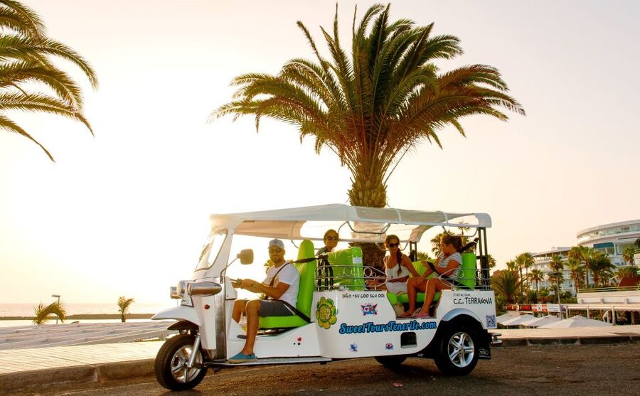Costa Adeje: Secret Volcano Tuk Tuk Tour - Caldera del Rey and the banana-growing story