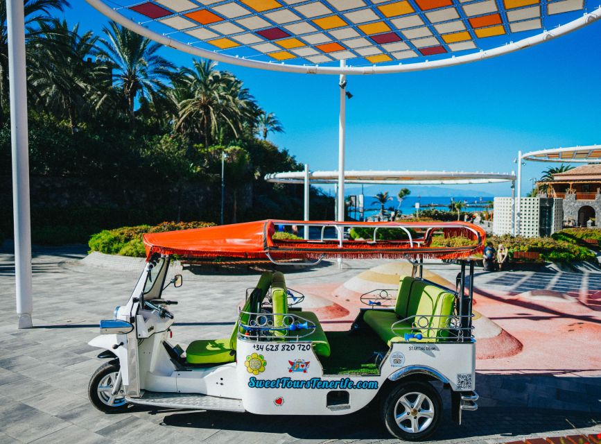 Costa Adeje: Secret Volcano Tuk Tuk Tour - The uphill ride toward Caldera del Rey