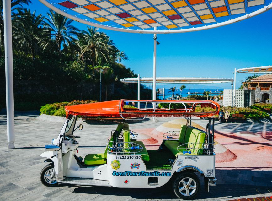 Costa Adeje: Tuk Tuk Tour - Comfort, access, and who should choose the private option