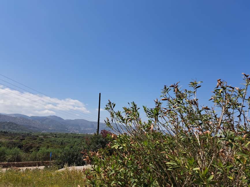 Crete: Malia, Potamos Beach, and Sissi Tuk Tuk Tour - Five useful things to know before you book