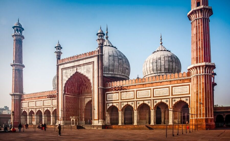 Delhi: Old Delhi City Tour with Tuk Tuk Ride & Street Food - India Gate and the ride past Parliament