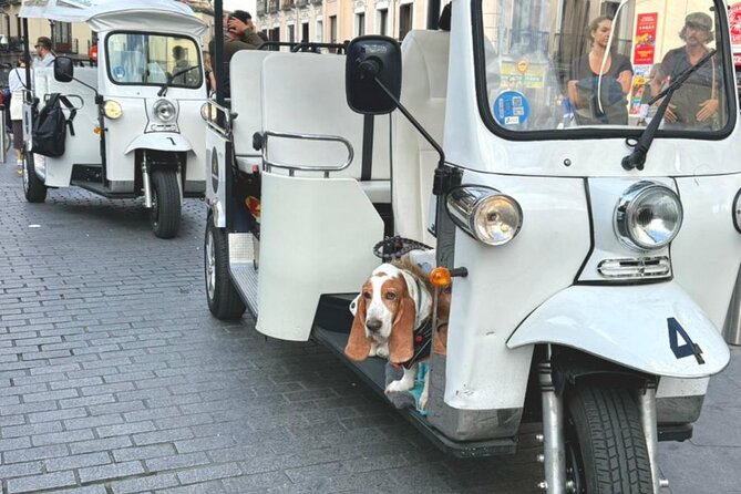 Discover Madrid in a Fun & Eco-Friendly Tuk-Tuk – Private Tour - Royal Madrid: Palace, Cathedral, and Teatro Real
