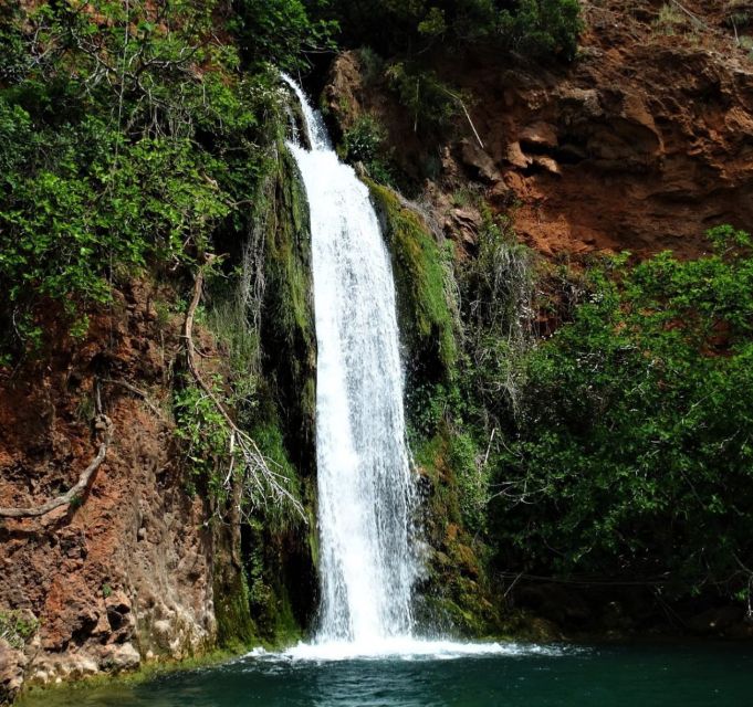Discover Secrets of the Algarve Countryside By Tuk-Tuk - Key points to know before booking