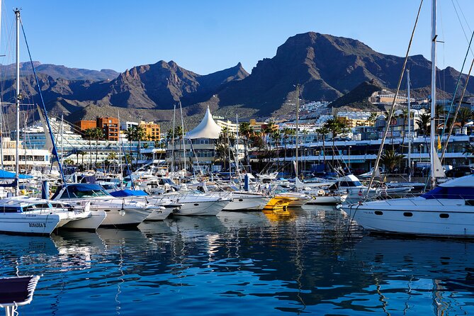 Double Tuk Tuk Tour in Costa Adeje - What the two-hour Costa Adeje route covers