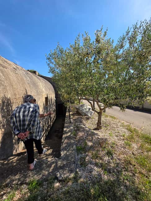 Eco tuk tuk Highlights of Zadar - Is $41 per person good value?