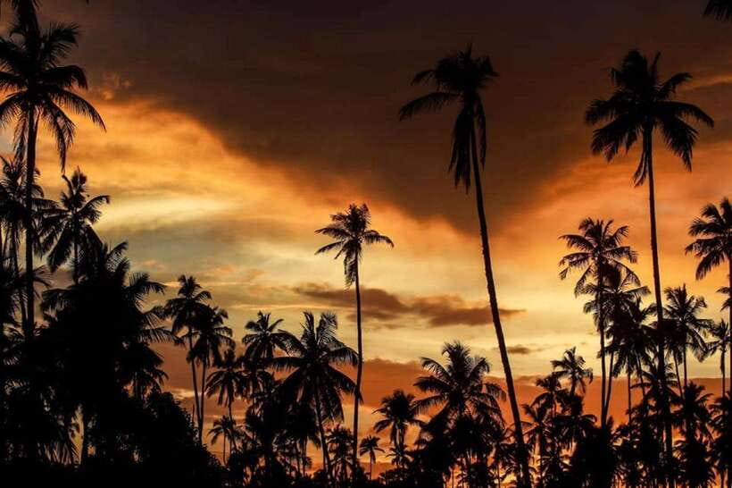 Ella: Adventure day trip to explore Ella by tuk tuk - Why this Ella day trip works