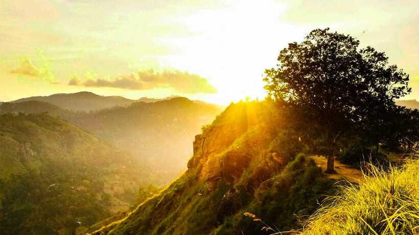Ella: Sunset Tuk Tuk Tour with Little Adam's Peak Hike - What the guides add to a short visit