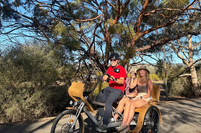 eTukTuk Adventure from Shirvington Wines - McLaren Vale - Getting used to the eTukTuk