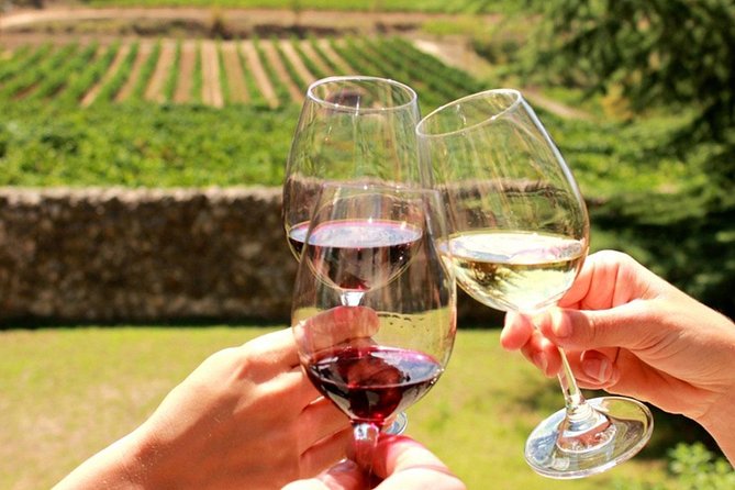 Exclusive Private Tuk-Tuk Tour: Visit to a Sardinian Winery - Key points to know before booking