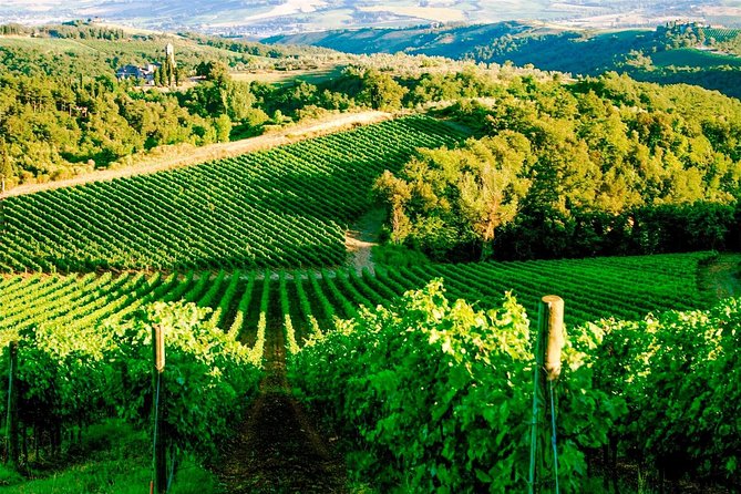 Exclusive Private Tuk-Tuk Tour: Visit to a Sardinian Winery - The guide can shape the experience