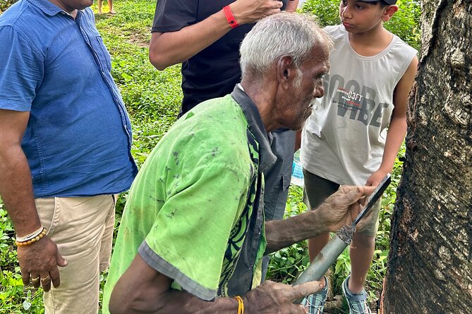 Explore Bentota Village: Guided Tuk Tuk Safari - Galapatha Raja Maha Viharaya and Bentota’s Buddhist Traditions