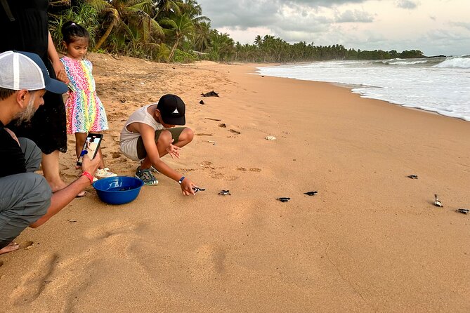 Explore Bentota Village: Guided Tuk Tuk Safari - Induruwa Sea Turtle Conservation Project