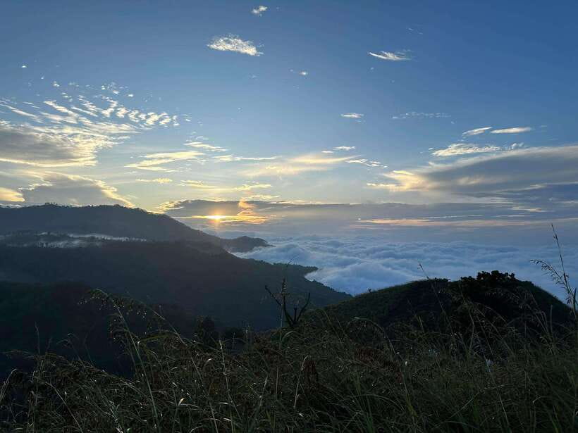 Explore hidden gems in Ella by Tuk Tuk - The tea plantation question