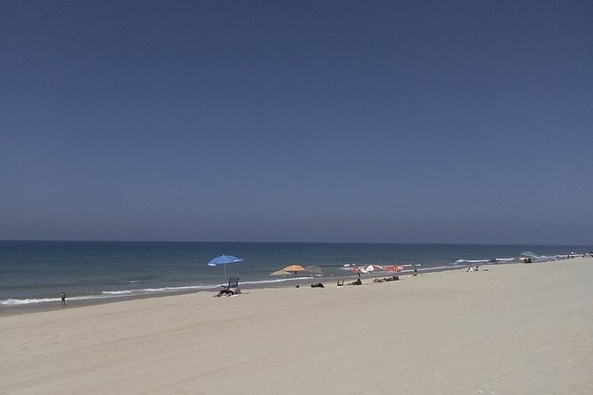 Faro City and Beach Tour on Electric Tuk tuks - Starting in Manuel Bívar’s garden and the old town