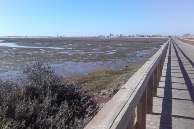 Faro City and Beach Tour on Electric Tuk tuks