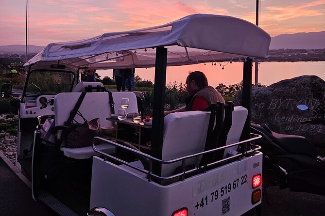 Fondue and wine private Tuk Tuk tour in Geneva - What is included, and what costs extra