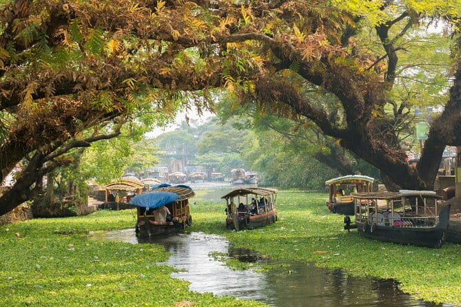 Fort Kochi Tour by Tuk Tuk for Cruise Passengers - Santa Cruz Basilica and the churches of Fort Kochi
