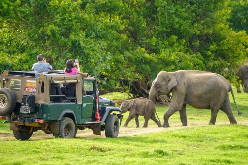From Dambulla, Sigiriya: Polonnaruwa Tuk Tuk Day Tour - Parakrama Samudra and the Countryside Return