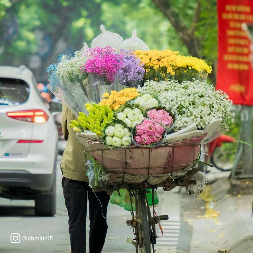 From Hanoi: City Sightseeing Cycling Panoramic Tour By Cyclo - St. Joseph’s Cathedral and Sword Lake