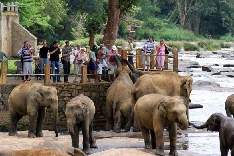 From Kandy: Kandy To Pinnawala Day Tour by Tuk Tuk - Why this tour works well from Kandy