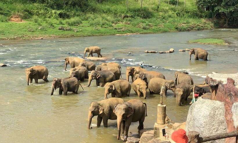 From Kandy: Kandy To Pinnawala Day Tour by Tuk Tuk - Kandy City View Point and the long city section