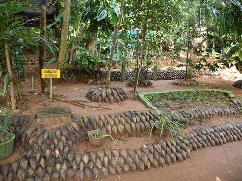 From Kandy: Sigiriya Guided Tuk-Tuk Tour - Key points to know before booking