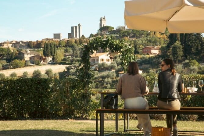 From San Gimignano: Tuscany Wine tour by Tuk Tuk with Lunch - Should you book the San Gimignano tuk tuk tour?