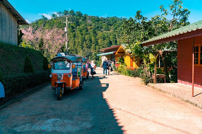 Full-Day Guided Tuk Tuk Chiang Mai Adventure and Rafting - Bamboo rafting on the local river