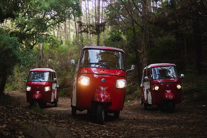 Full-Day Guided Tuk-Tuk Tour in Sintra - The upper hills, lakes, and two famous castles