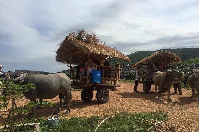 Full-Day Kampot & Kep with a local Tuk Tuk Tours - Five details that shape the day