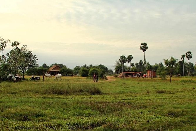 Full-Day Kampot & Kep with a local Tuk Tuk Tours - Salt fields: Cambodia’s work by sun and hand