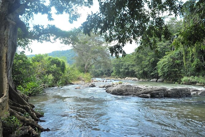 Full day Kandy walking tour with TUK TUK ride to Peradeniya gardens - The National Museum Kandy in a Short Visit
