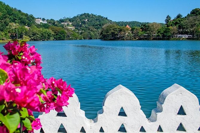 Full day Kandy walking tour with TUK TUK ride to Peradeniya gardens - Who Will Enjoy This Kandy Experience Most