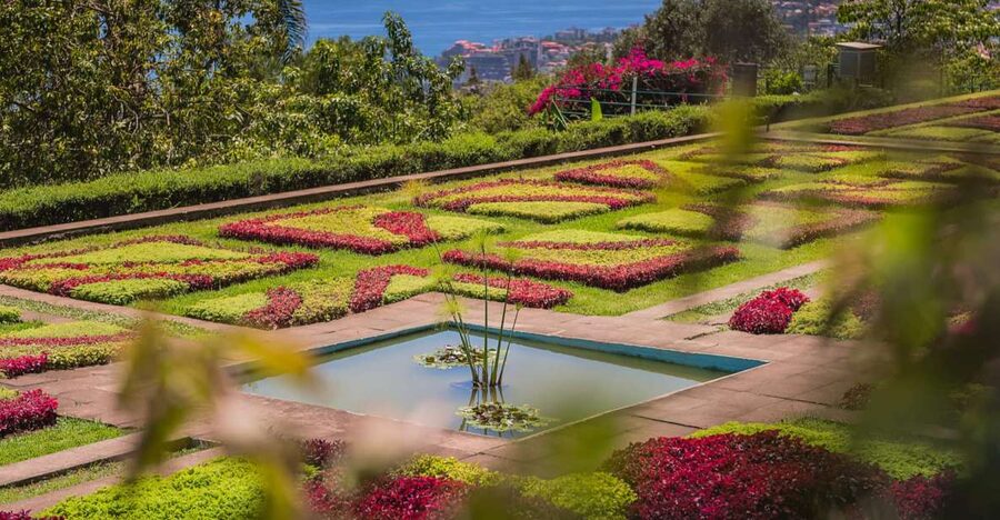Funchal: Botanical Garden and Old Town Private Tuk-Tuk Tour - Key points to know before you book