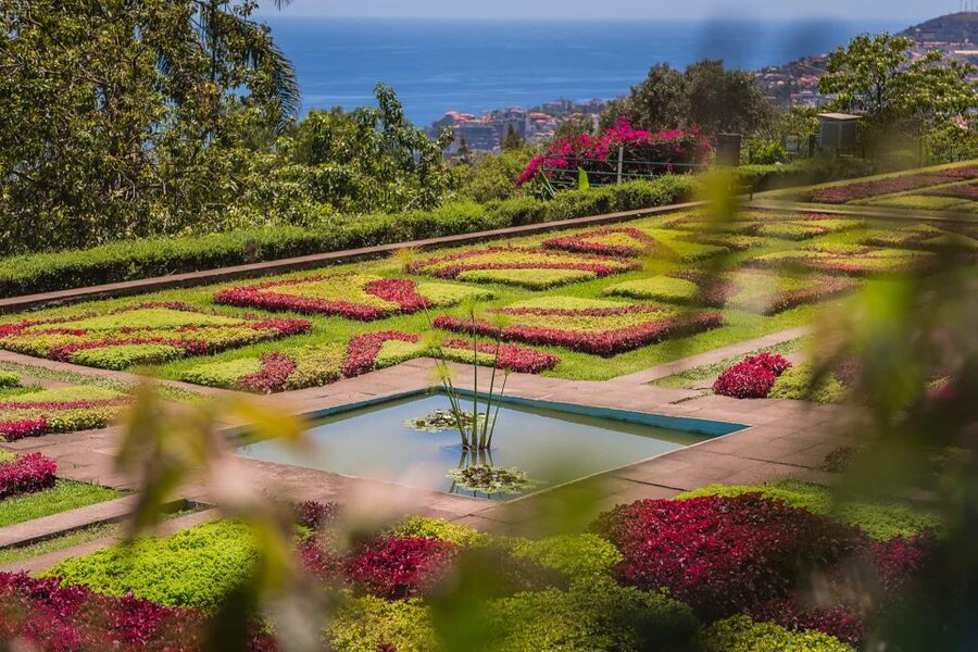 Funchal: Botanical Garden and Old Town Private Tuk-Tuk Tour - The climb to Madeira Botanical Garden