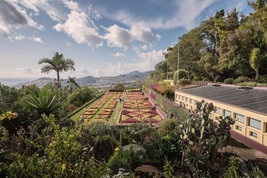 Funchal: Botanical Garden and Old Town Private Tuk-Tuk Tour - Returning through Funchal’s narrow streets