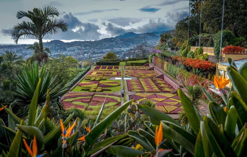 Funchal: Botanical Garden & Old Town Tour by TukTuk (1h45) - Key points to know before booking