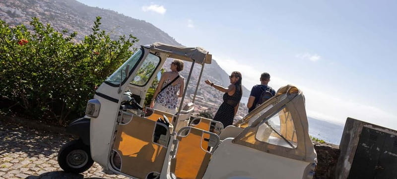Funchal: Botanical Garden & Old Town Tour by TukTuk (1h45) - Timing, pickup, and the practical details