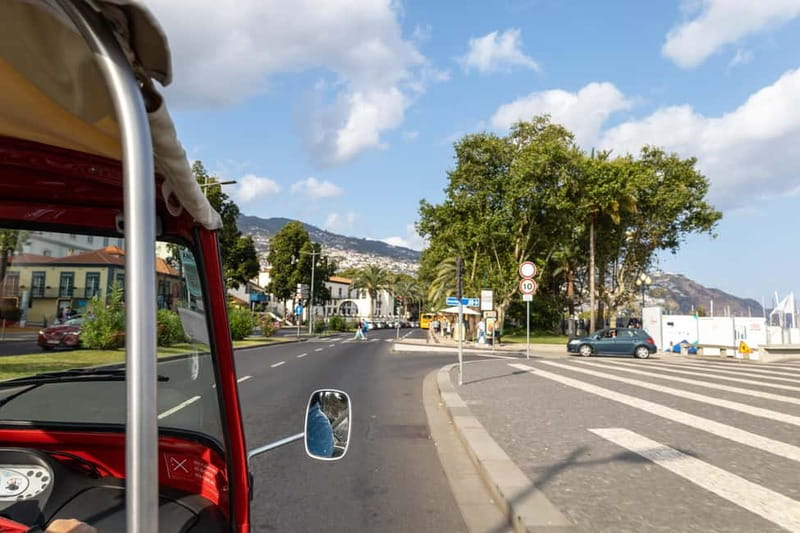 Funchal: Botanical Garden & Old Town Tour by TukTuk (1h45) - Reaching the Botanical Garden above Funchal
