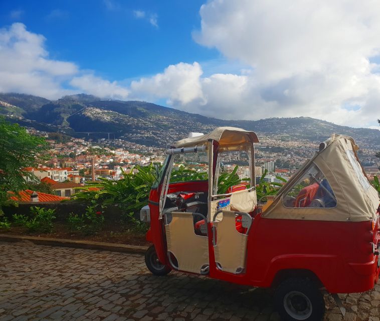 Funchal: Guided City Tuk-Tuk Tour - The climb to Fortaleza de São João Baptista do Pico