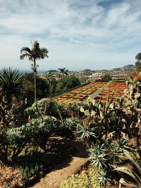 Funchal: Guided Old Town Tuk Tuk Tour and Botanical Gardens - Key points to know before booking