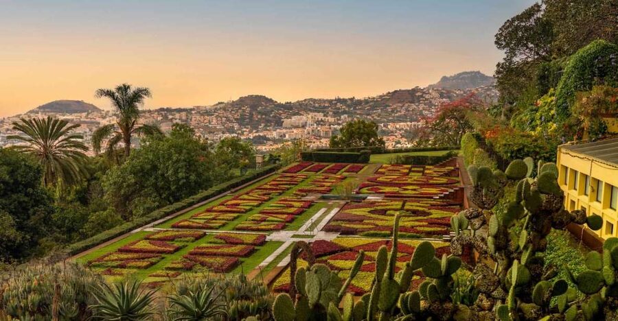 Funchal: Guided Old Town Tuk Tuk Tour and Botanical Gardens - The cathedral and the Workers’ Market