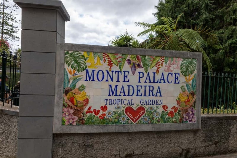 Funchal: Guided Tuk Tuk Tour to Toboggan Rides & Old Town - Starting with pickup in Funchal