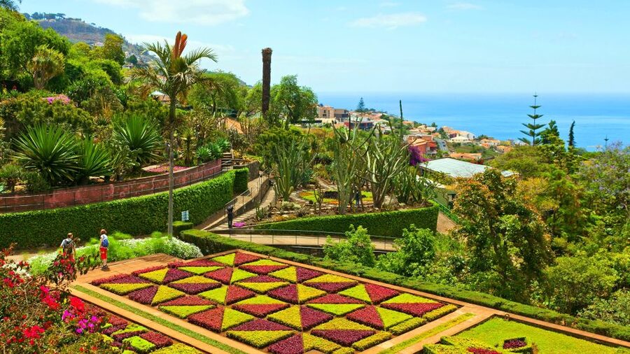 Funchal: Madeira Botanical Garden Tuk-Tuk Tour + Old Town - Key points before you book
