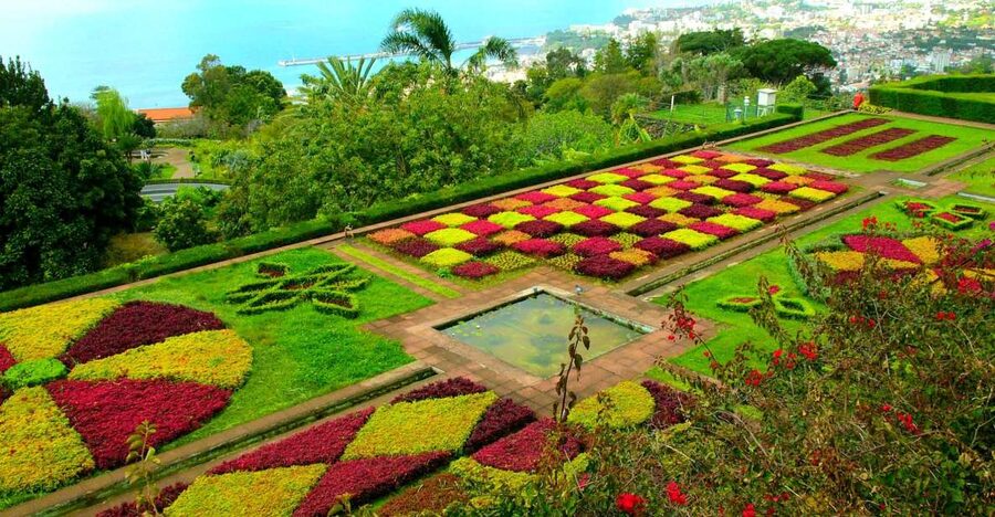 Funchal: Madeira Botanical Garden Tuk-Tuk Tour + Old Town - The guides make the ride more than a transfer