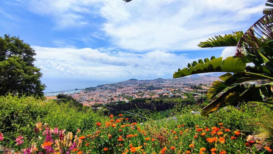 Funchal: Madeira Botanical Garden Tuk-Tuk Tour + Old Town - Should you book the Madeira Botanical Garden tuk-tuk tour?