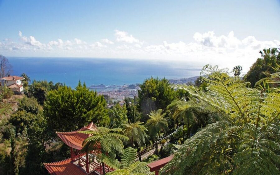 Funchal: Monte Palace Tropical Gardens Tuk Tuk Tour - The church and Monte’s famous hillside setting