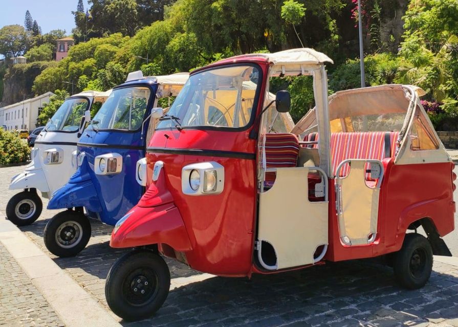 Funchal: Monte Toboggan and Old Town Tour by Tuk-Tuk - Should you book the Monte basket tour?